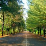 Private Photography in Hulhumale, Maldives - Who Should Consider this Tour?