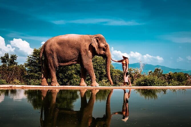 Private Photoshoot in Koh Samui for Couples & Families - The Value of This Experience