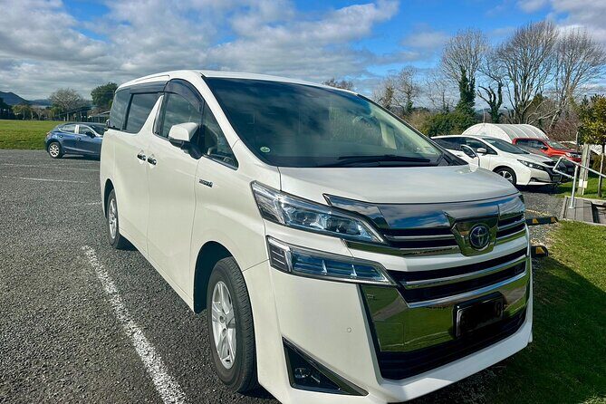 Private Piha Beach, Rainforest Adventure & Mt. Eden with Guide - Transportation, Timing, and Personalization