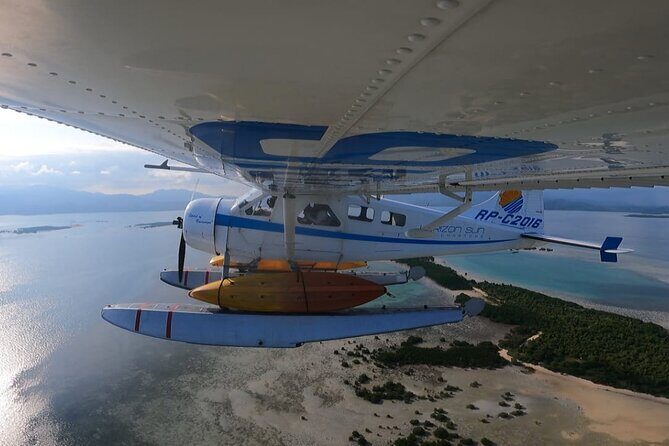 Private Puerto Princesa River Kayaking with Seaplane Transfer - A Deep Dive into the Tour Experience