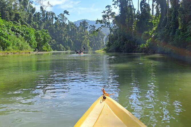 Private Puerto Princesa River Kayaking with Seaplane Transfer - Why This Tour Stands Out