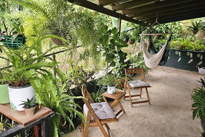 Private Puerto Rican Cooking Class with Cocktails Near San Juan - The Value Proposition