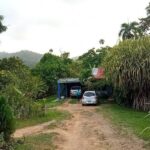 Private Punta Cana Beyond-the-Resort Local Life Tour - Practical Details & Value