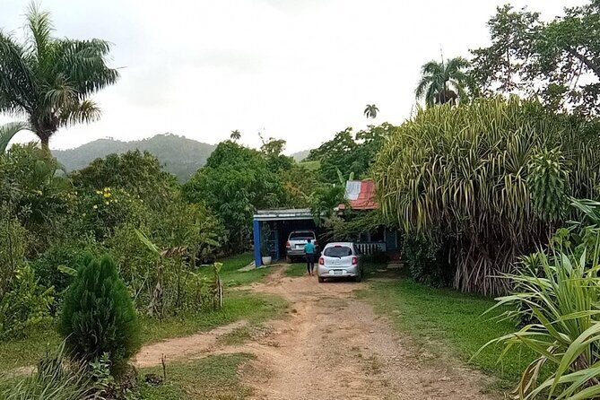 Private Punta Cana Beyond-the-Resort Local Life Tour - Practical Details & Value