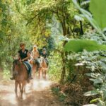 Private: Punta Cana: Horseback Riding Tour with Sunset - The Sum Up