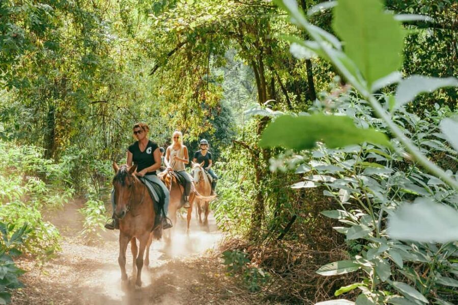 Private: Punta Cana: Horseback Riding Tour with Sunset - The Sum Up