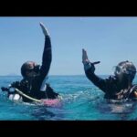 Private: Punta Cana: Reef Diving Adventure with Hotel Pickup - Practical Details and Tips