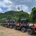 Private Rasta Safari Cultural UTV Village Experience - Authentic Experiences and What Makes It Special