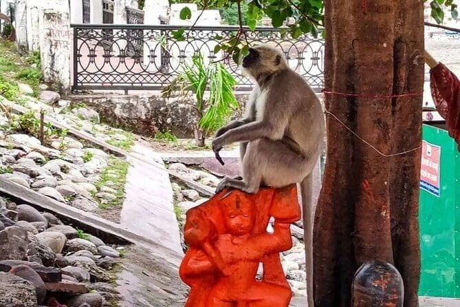 Private Rishikesh Tour From Delhi - Why the Guides Make a Difference