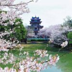 Private Round Trip Transfer to Top Wuxi Attractions from Shanghai - The Itinerary Breakdown: What Youll Actually Do