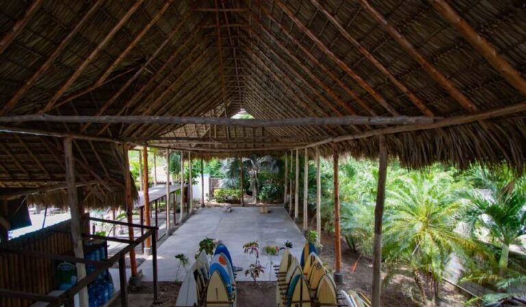Private: Rural & Urban Dominican Life Tour: Flavors, Fields - Who Should Consider This Tour?