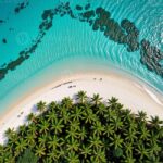 Private: Samaná Whale & Cayo Levantado Luxury Day Trip - The Value Proposition