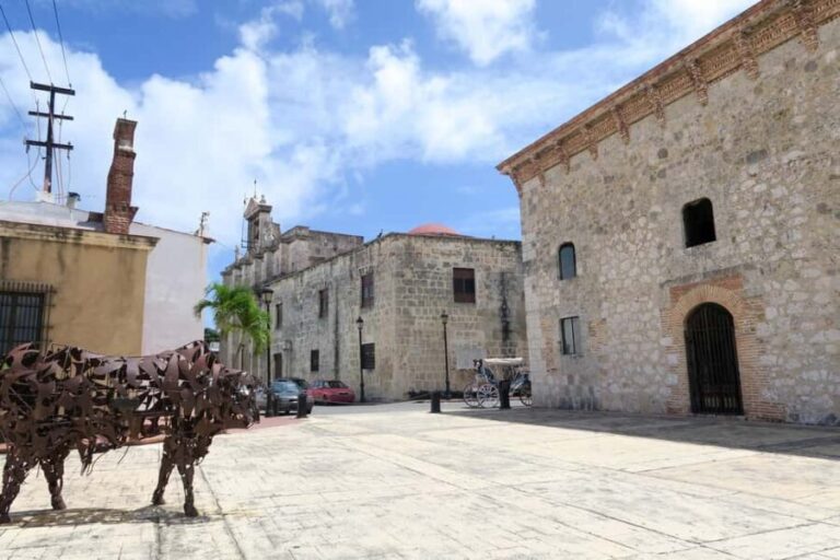 Private: Santo Domingo Historic & Cultural Walking Tour - Who Is This Tour Best For?