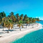 Private Saona Island Including Natural Pool Experience - Exploring Saona Island: Sun, Sand, and Serenity