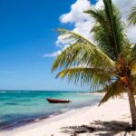Private: Saona Island Premium & Mano Juan Day Escape - Practical Details and What to Pack