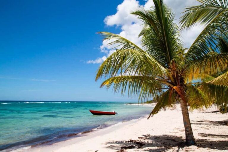 Private: Saona Island Premium & Mano Juan Day Escape - Practical Details and What to Pack