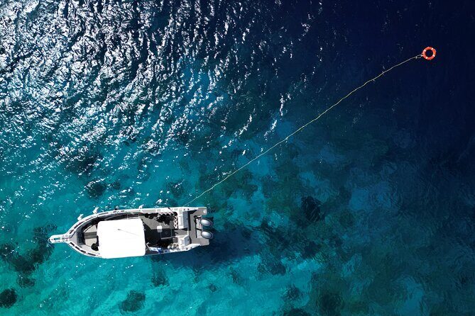 Private Scuba Diving Charter in Bonaire Marine Park - Why We Love This Bonaire Dive Charter