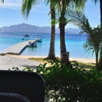 Private Seaplane Transfer From Busuanga Island to El Nido - Why the Views Matter