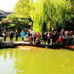Private Shanghai Full Day City Tour with Old &New Highlights - The Value of a Personalized, Private Tour