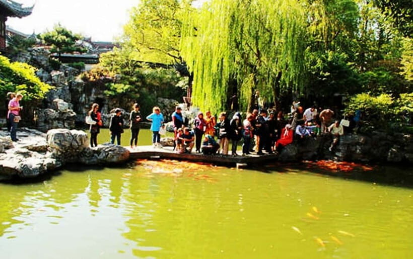 Private Shanghai Full Day City Tour with Old &New Highlights - The Value of a Personalized, Private Tour