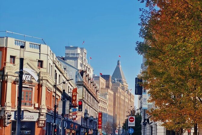 Private Shanghai Full Day Tour Yu Garden, Bund and Oriental Pearl - Practical Details and Experience Insights