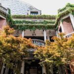 Private Shanghai Walking Tour:Shikumen,Jade Buddha,M50,1000 TREES - Practical Details and Tips