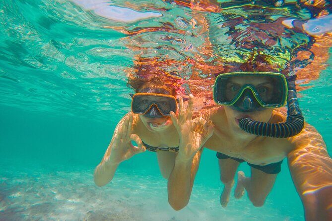 Private Shore Excursion Curacao for Cruisers - What Reviewers Say