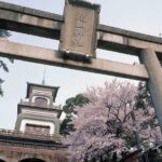 Private Sightseeing Tour from Kanazawa Port / Private Vehicle - Practical Details and What to Expect