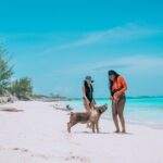 Private Sightseeing Tour in Nassau with Lunch - Why This Tour Offers Great Value