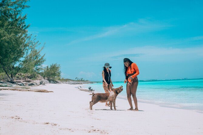 Private Sightseeing Tour in Nassau with Lunch - Why This Tour Offers Great Value