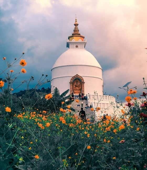 Private Sightseeing Tour of Pokhara city - What Makes This Tour Stand Out?