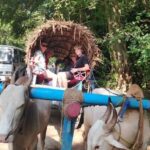 Private Sigiriya Day Tour from Kandy: Temples & Elephants - Transport Options and Group Size