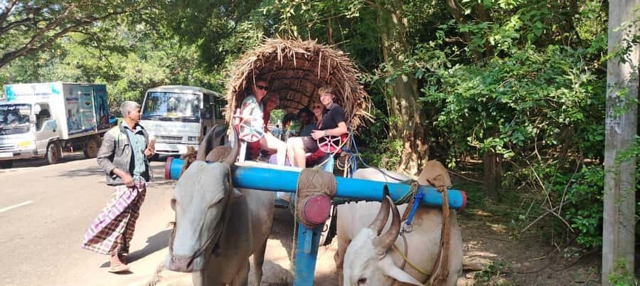 Private Sigiriya Day Tour from Kandy: Temples & Elephants - Transport Options and Group Size