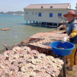 Private Sihanoukville Experience - Good To Know