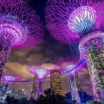 Private Singapore Night City Tour with Driver - Who Would Love This Tour?