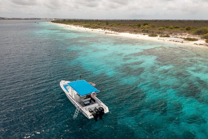 Private Snorkel Tour with Captain and Guide Bonaire Marine Park - What to Expect During the Snorkel