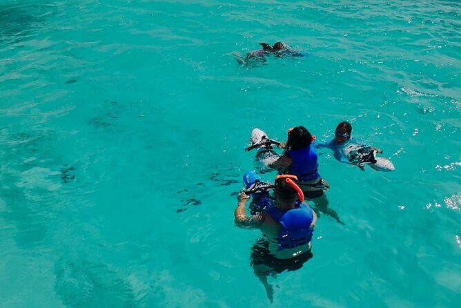 Private Snorkeling and Boat Riding Experience in Aruba - Who Would Love This Experience?