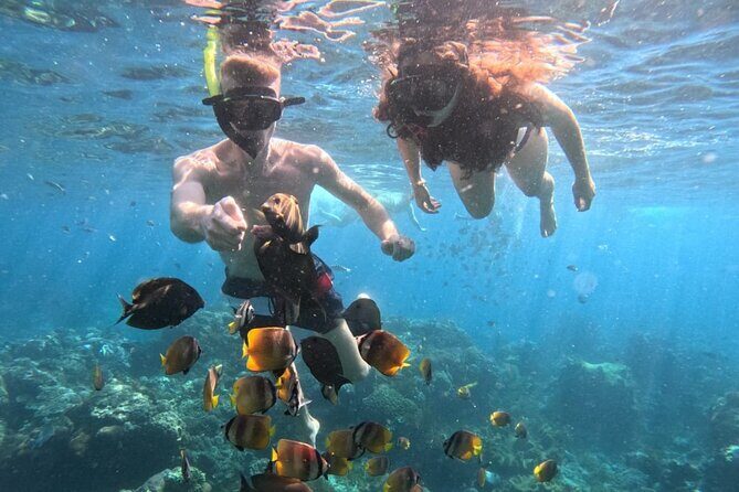 Private Snorkeling from Nusa Penida - Practical Considerations