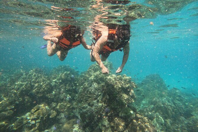 Private Snorkeling Trip Route A by Long Tail Boat - Practical Details and What Youll Experience