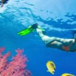 Private: Sosua Bay Snorkeling Tour with Hotel Pickup - Exploring Sosua Bay Snorkeling: What to Expect