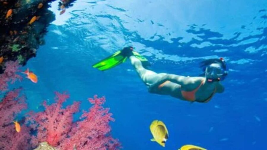 Private: Sosua Bay Snorkeling Tour with Hotel Pickup - Exploring Sosua Bay Snorkeling: What to Expect