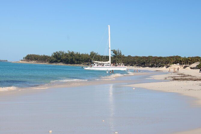 Private speed boat beach and bar hopping visiting Rose island - The Sum Up