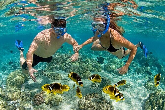 Private Speed Boat Experience with Snorkeling in Punta Cana - The Speedboat Ride: A Thrilling Journey