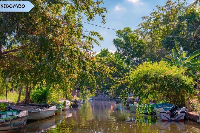 Private Sri Lanka Multi Day Tour - Overall Value and Practical Considerations