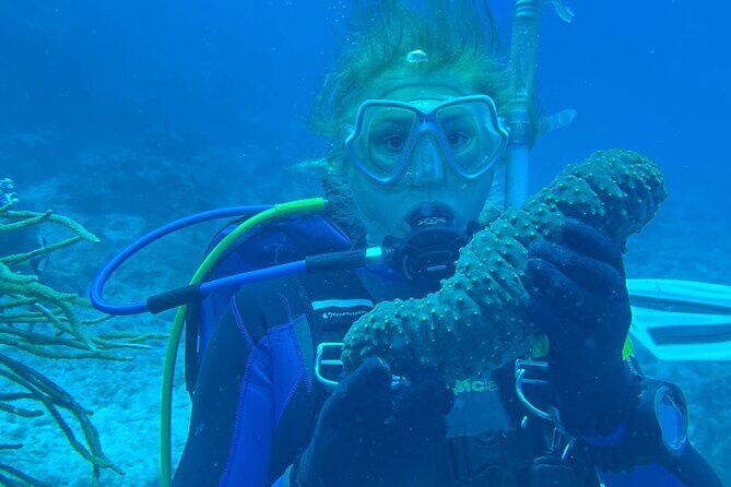 Private St. Maarten Cruise - Hakuna Matata Catamaran - Is This Tour Worth the Price?