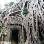 Private Sunrise Angkor Wat Tour - Why This Tour Offers Great Value