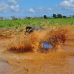 Private: Sunset Horseback Experience  Macao Forest & Beach - Practical Tips for Your Ride