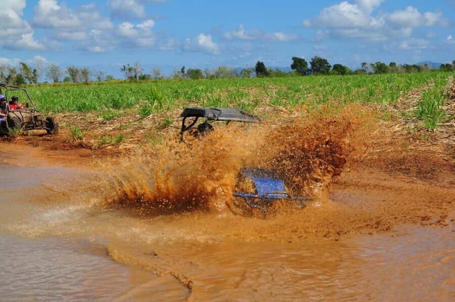 Private: Sunset Horseback Experience  Macao Forest & Beach - Practical Tips for Your Ride