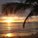 Private Sunset Horseback Riding in punta cana beach - Authentic Experiences and Insights from Reviewers