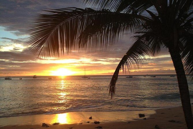 Private Sunset Horseback Riding in punta cana beach - Authentic Experiences and Insights from Reviewers